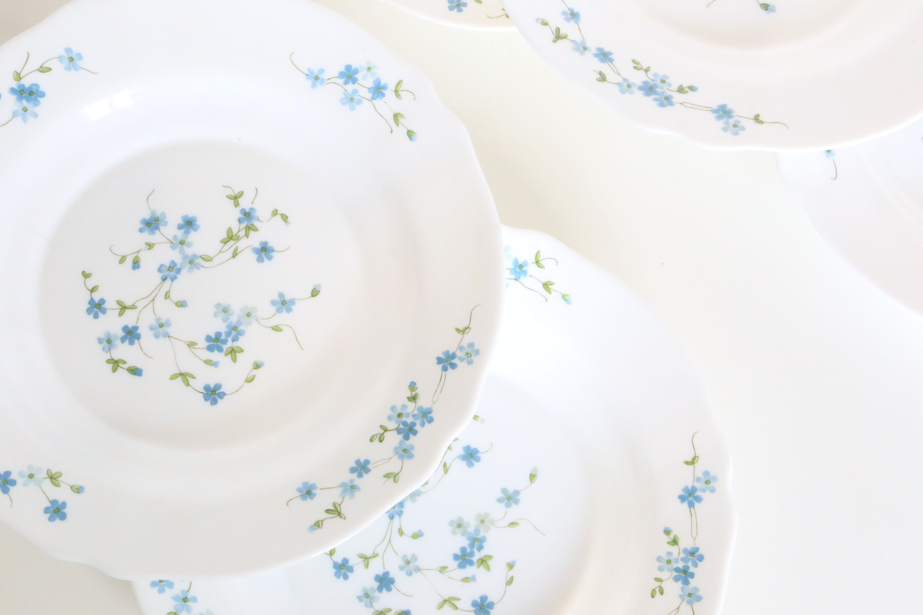 Set of 6 hollow plates Arcopal pattern Veronica