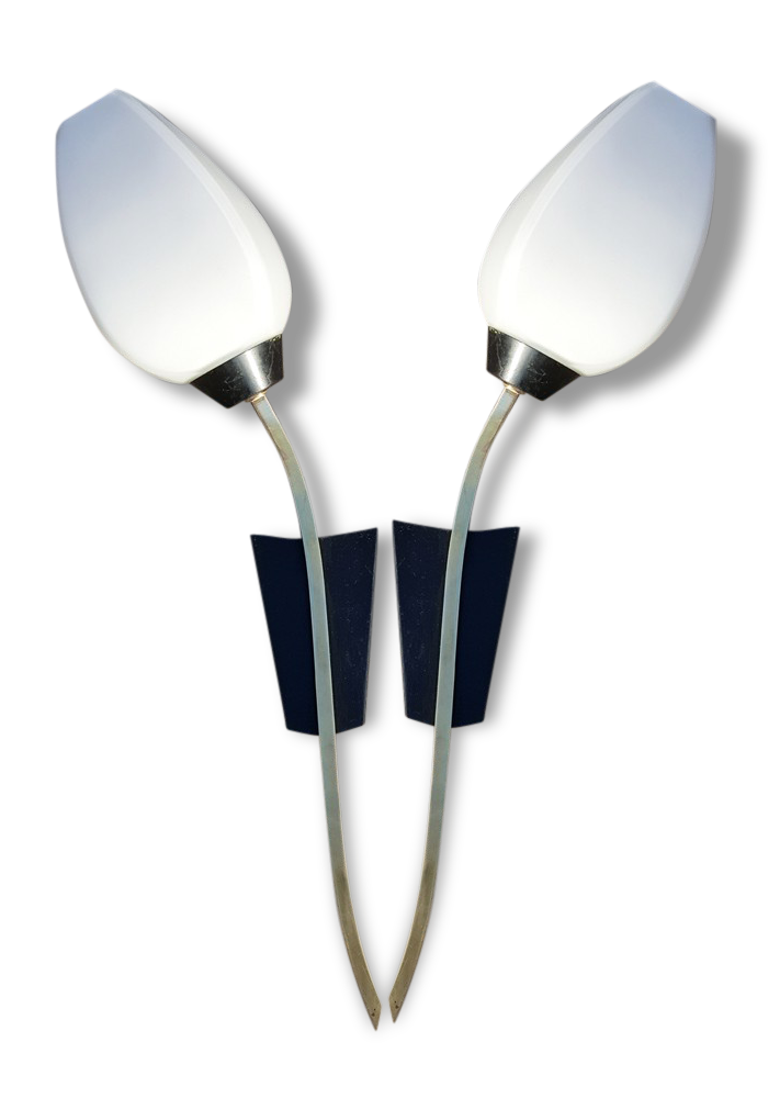Beautiful pair of tulips, Arlus, Paris, circa early 1950s edition