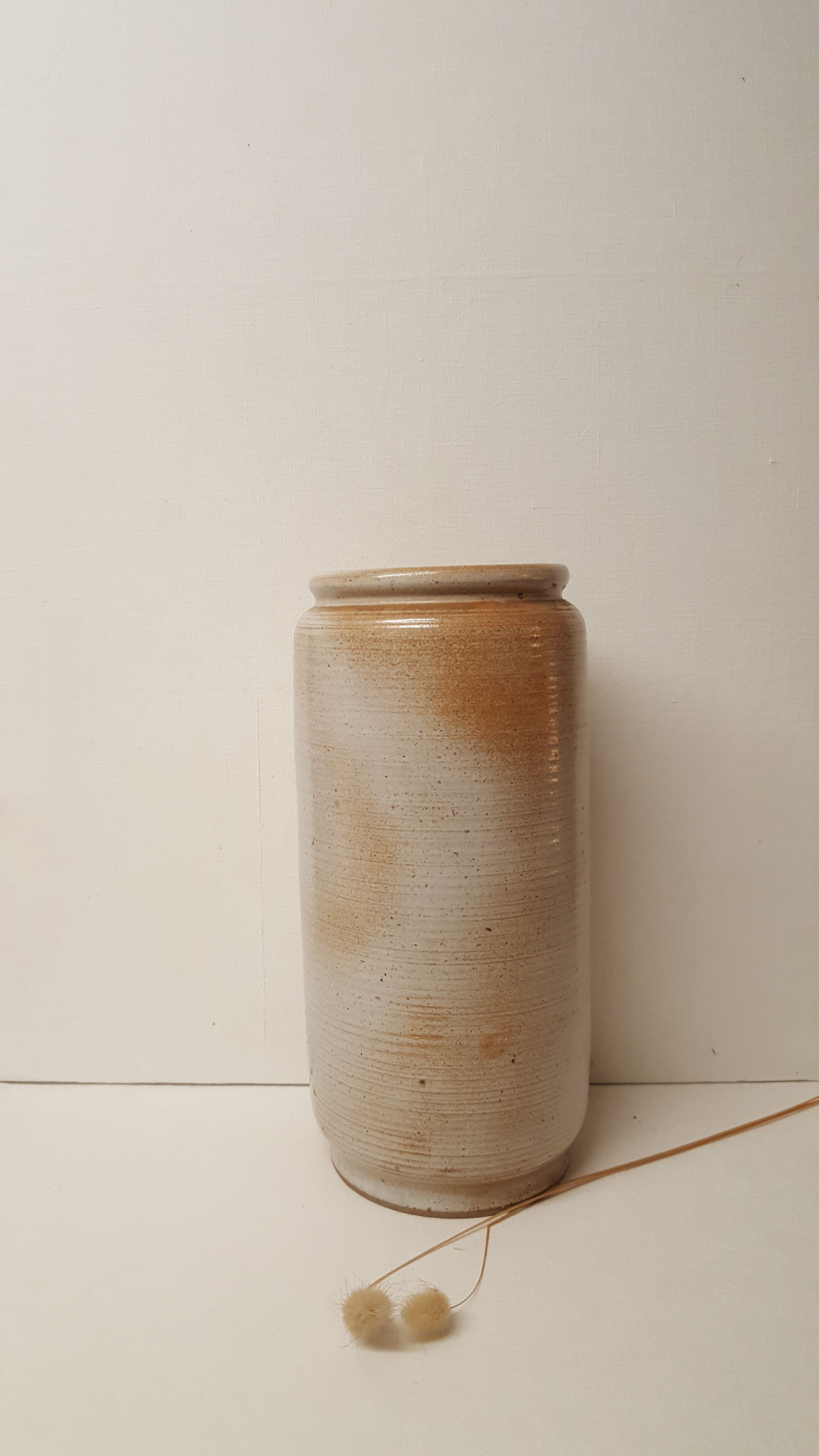 Sandstone from the marsh. shades of light beige and brown.