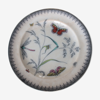 Assiette ancienne anglaise en porcelaine Pinder Bourne & Co