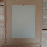 vintage botanical illustration roses eglantier