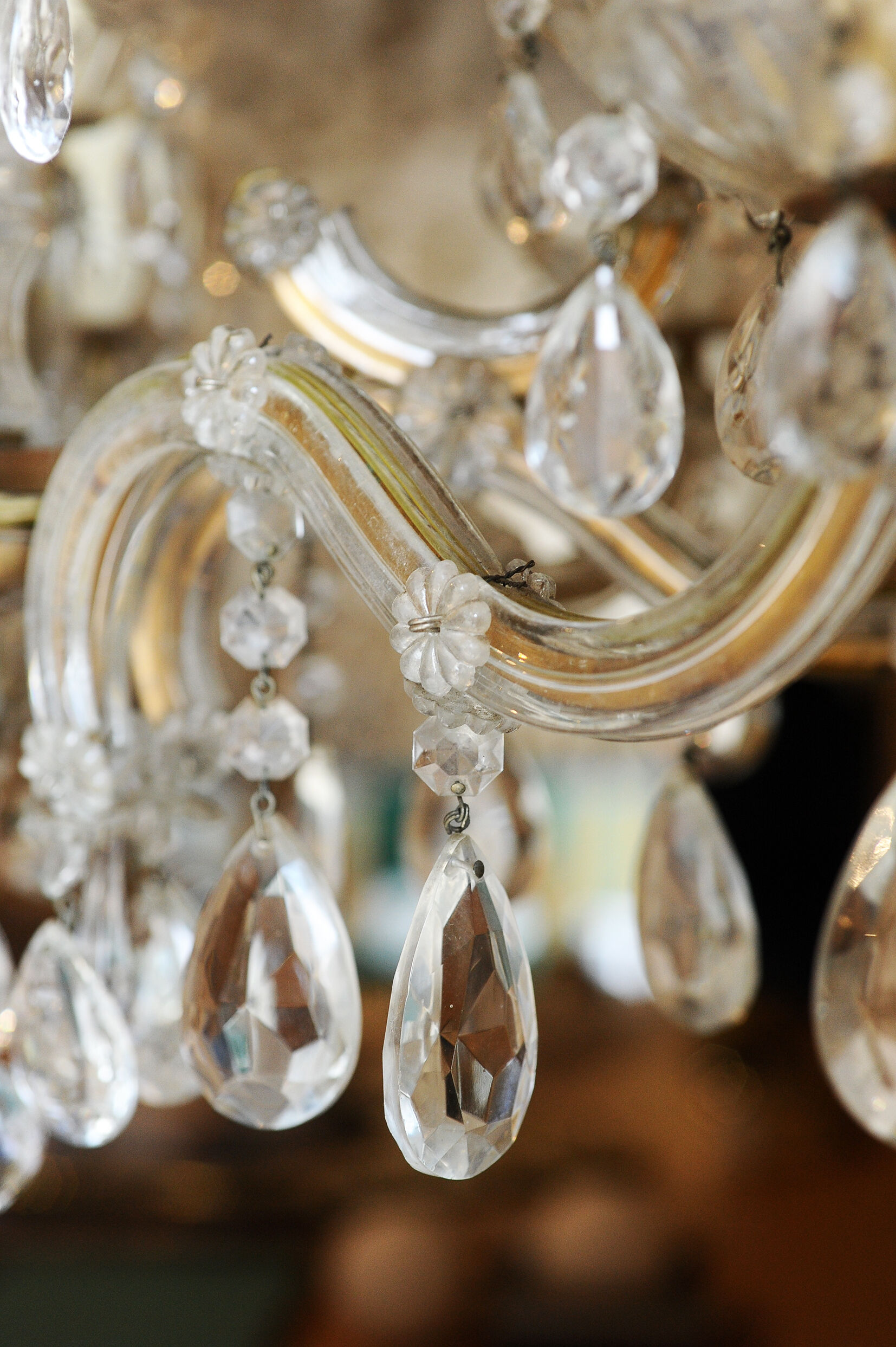 Grapevine chandelier