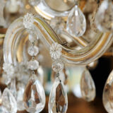 Grapevine chandelier