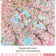 Damien Hirst