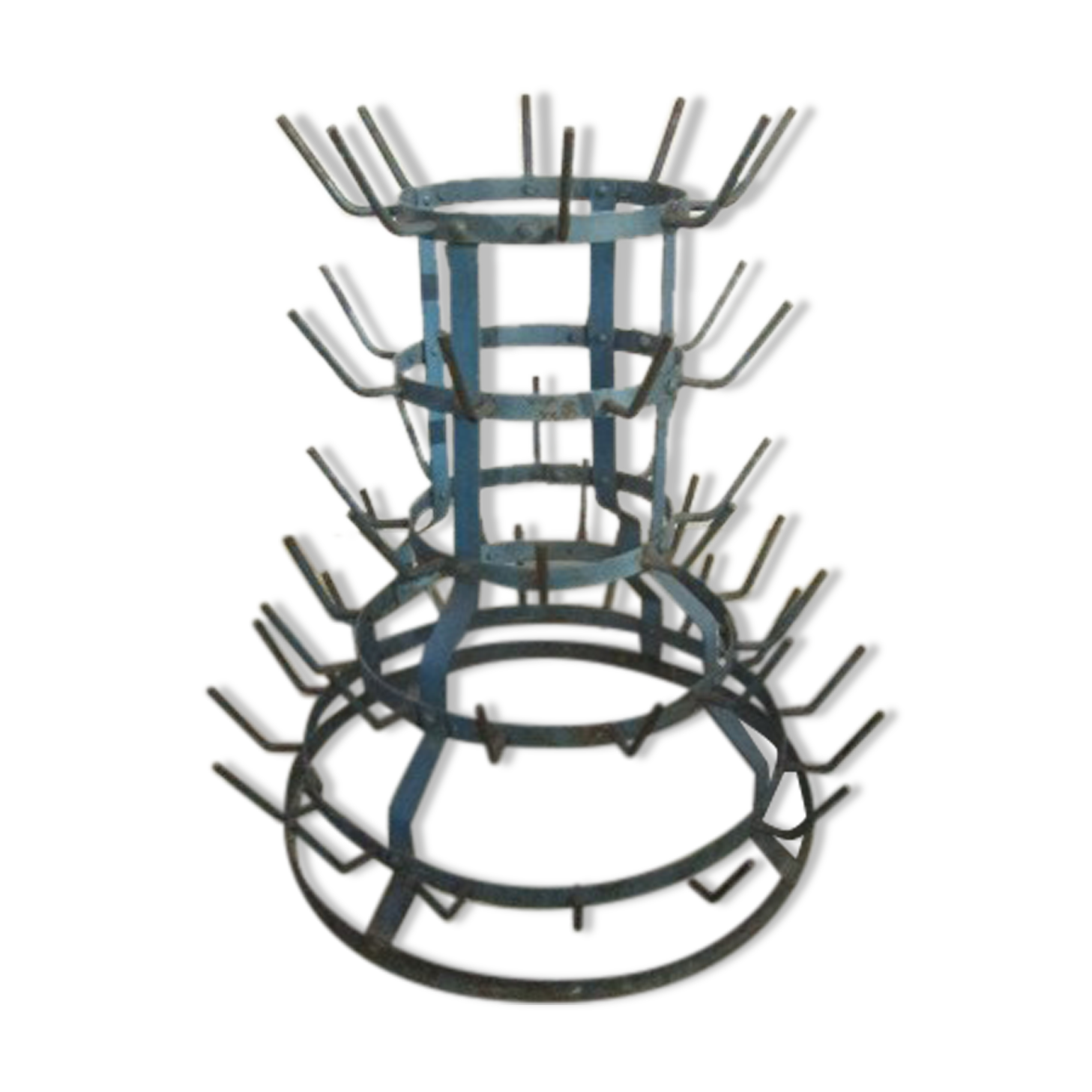 Yew tree, bottle rack or bottle hedgehog
