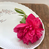 Plat en porcelaine