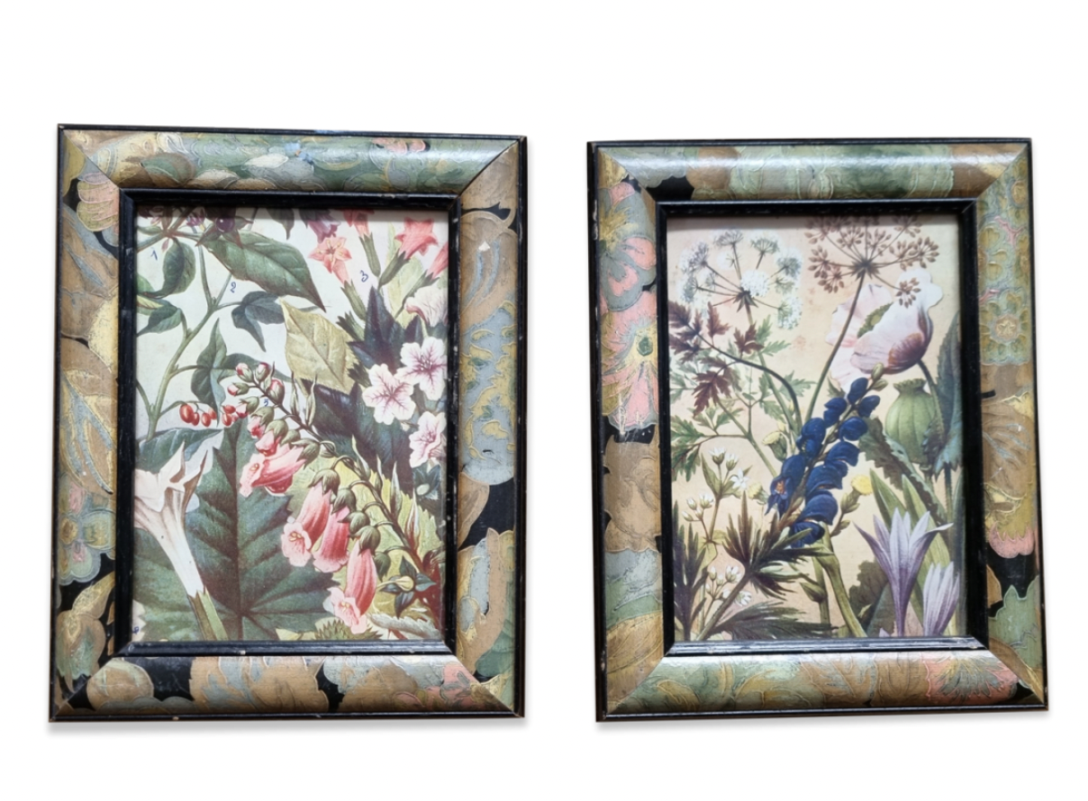 Paire de cadres art deco plantes médicinales