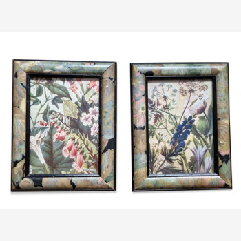 Pair of frames art deco medicinal plants