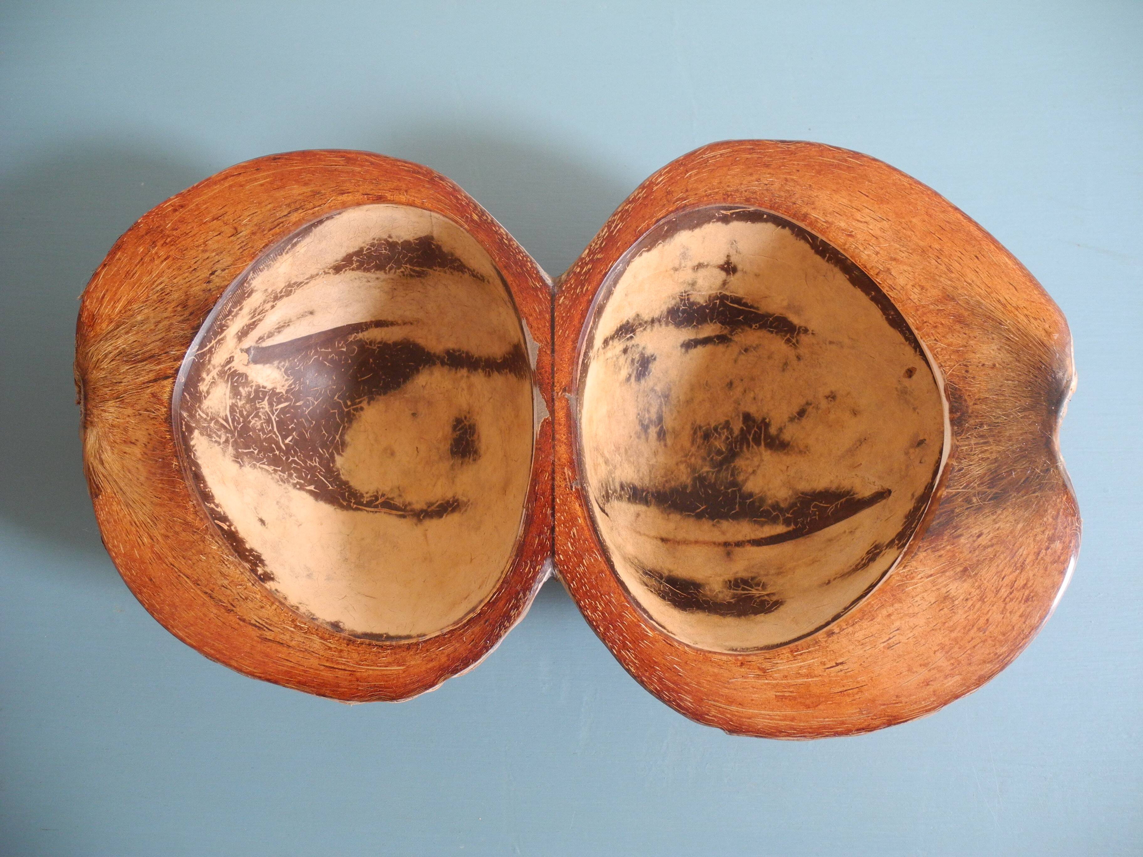 Old pocket tray coconut vintage decoration serving tray bowl