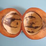 Ancien serviteur vide poches noix coco déco vintage serving tray bowl