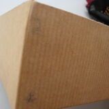 Box collecting butterflies labelled