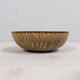 Modern Ensemble from the Mid-Century of 4 Ceramic Pieces Rubus Gunnar Nylund Rörstrand, Sweden