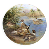 Porcelain plate by Sergio Budicin