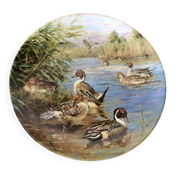 Assiette en porcelaine par Sergio Budicin