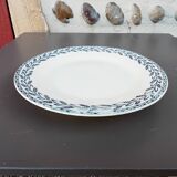 Dish on saline iron earth pedestal