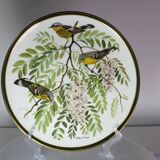 12 assiettes "oiseaux chanteurs du monde", Franklin Wedgwood Singer Arthur 1977