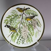Franklin Wedgwood Singer Arthur plates 1977 x12 "songbirds of the world"