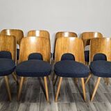 Dining Chairs by Oswald Haerdtl, 1950s, Set of 8