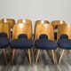 Dining Chairs by Oswald Haerdtl, 1950s, Set of 8