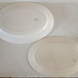 2 dishes and 1 plate iron earth Salins