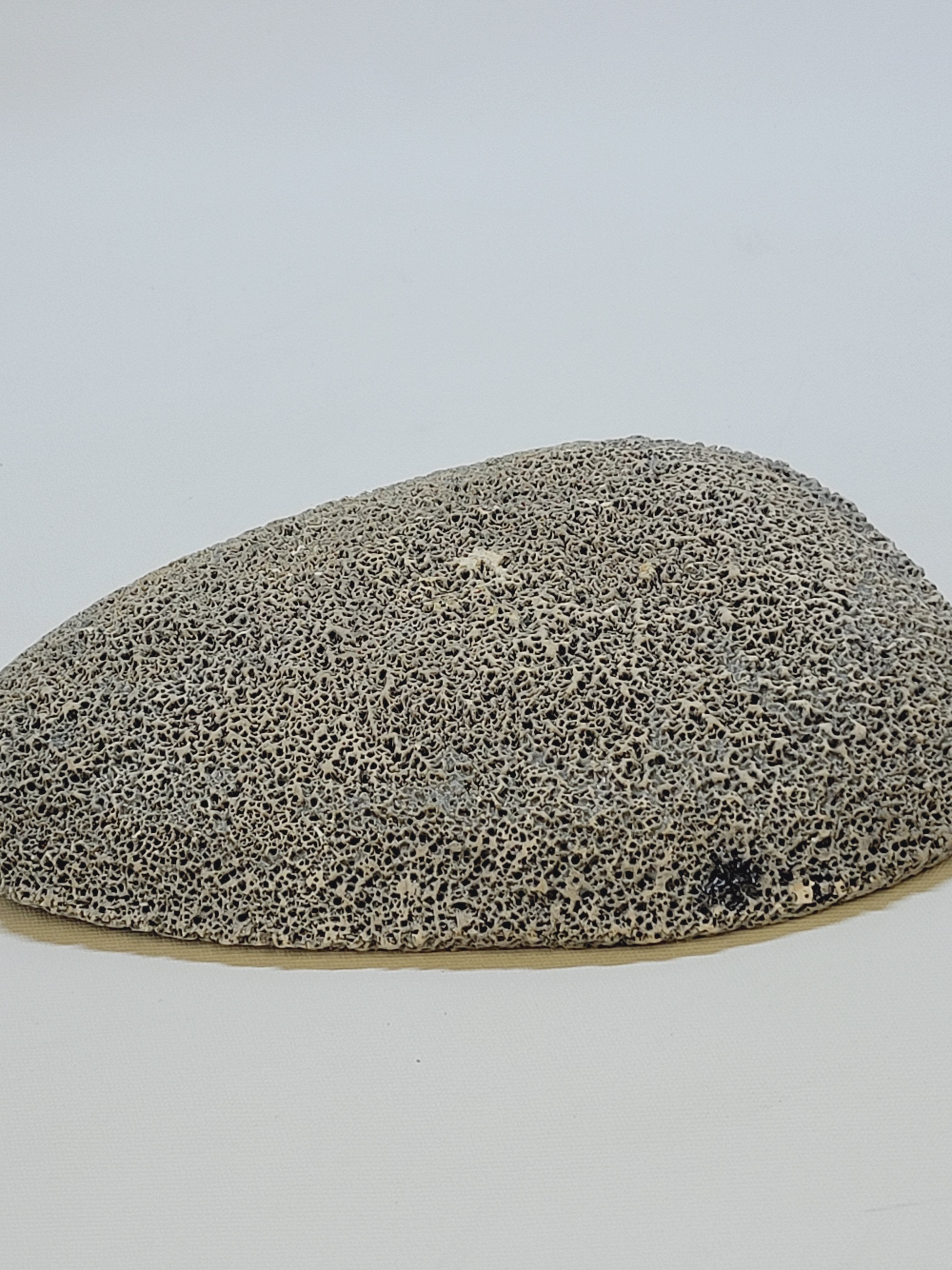 Decorative plate in glazed ceramic plaster? Prehistoric hunting décor