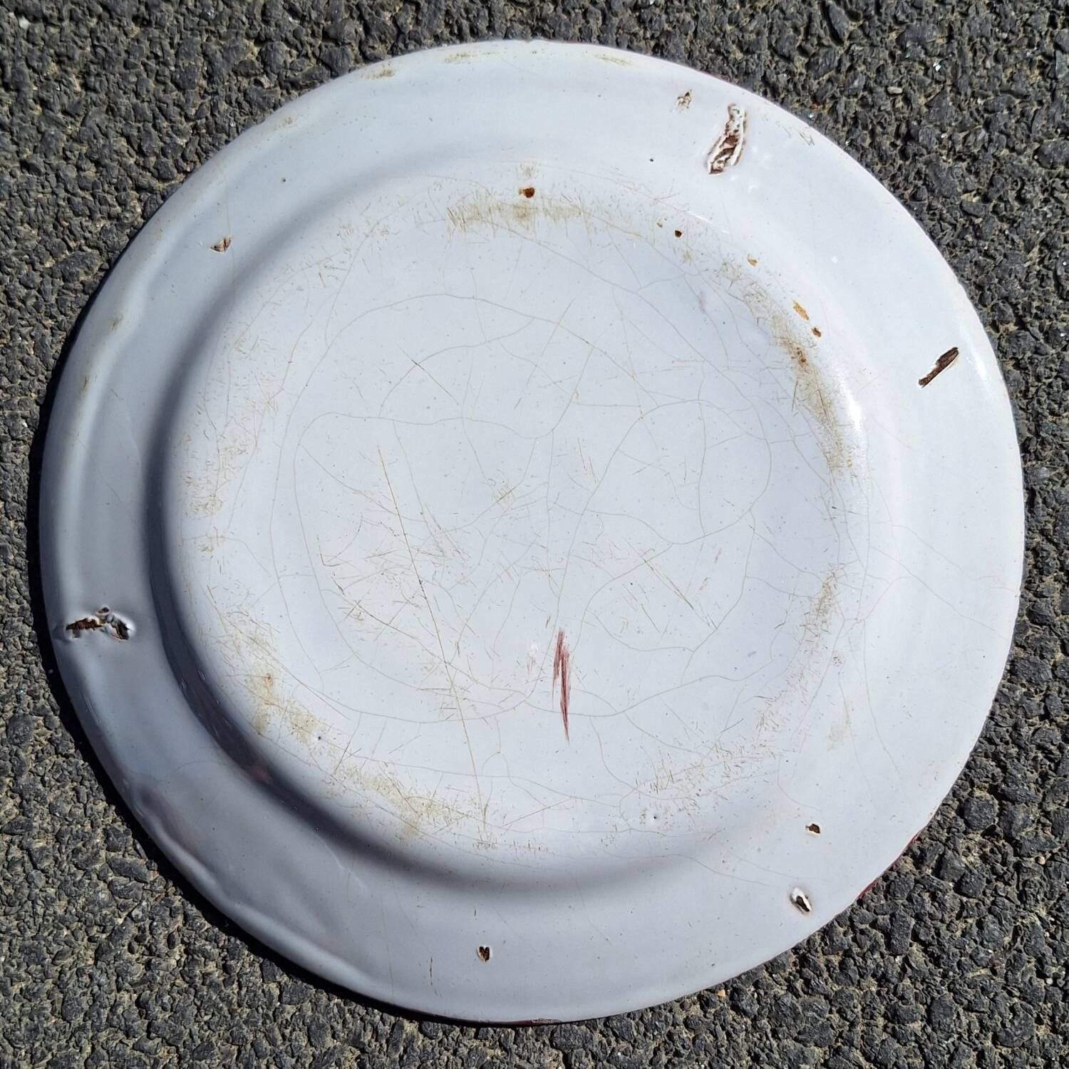 Earthenware plate with parrot decoration