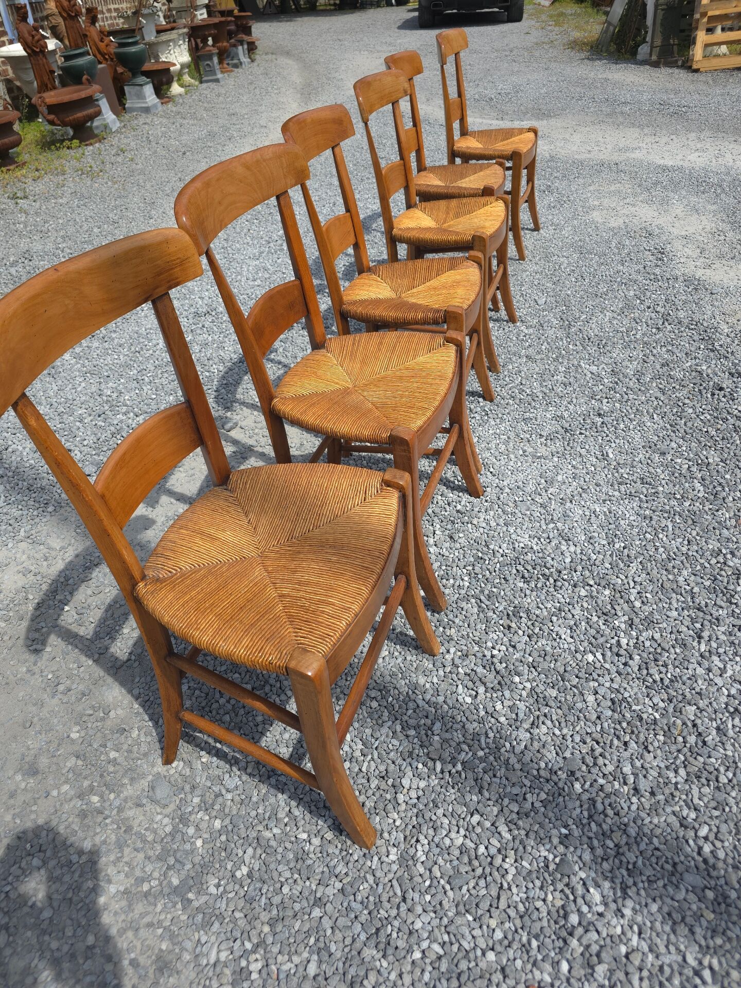 6 chaises en merisier