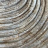 Large ceramic shell dish by Dominique Guillot for Vallauris 1960, giant oyster dish