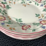 Assiettes Churchill "Briar Rose" made in Staffordshire England