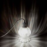 Transparent bulb portable lamp