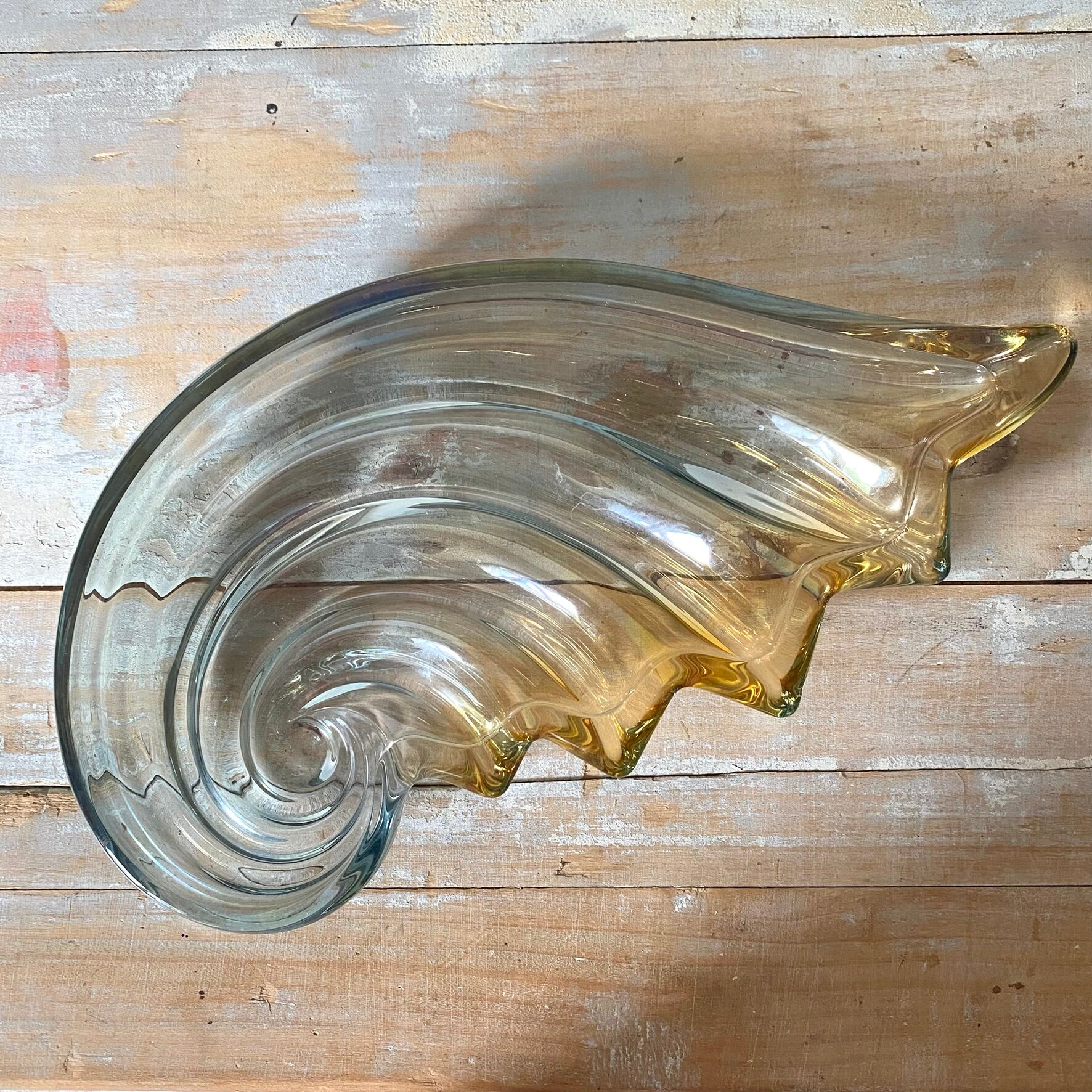 Nautilus shell catch-all 34 cm