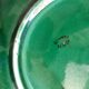 Plates in gien earthen earthenware slurry