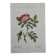 Botanical Plate 1800 Old naturalist engraving 19th century double-sided