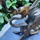 Pair of chimera candle holders in bronze, 19th century.