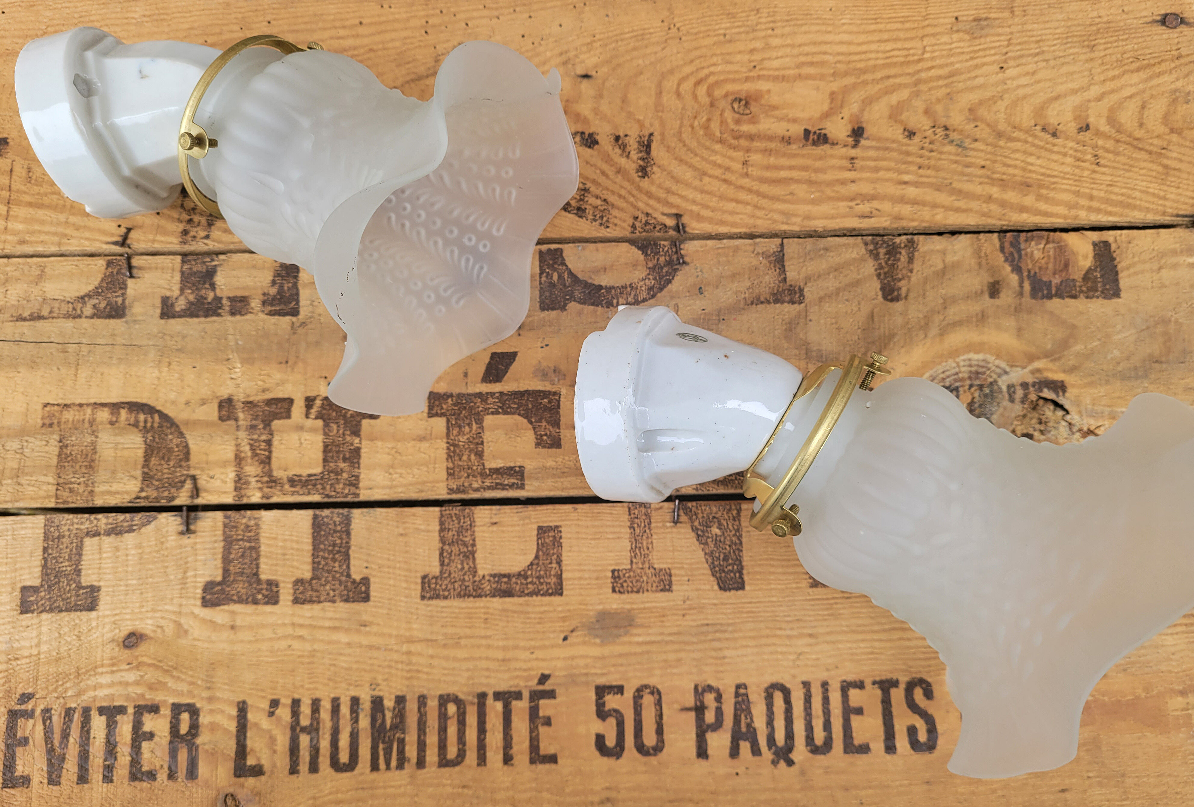 Pair of tulip and porcelain sconces