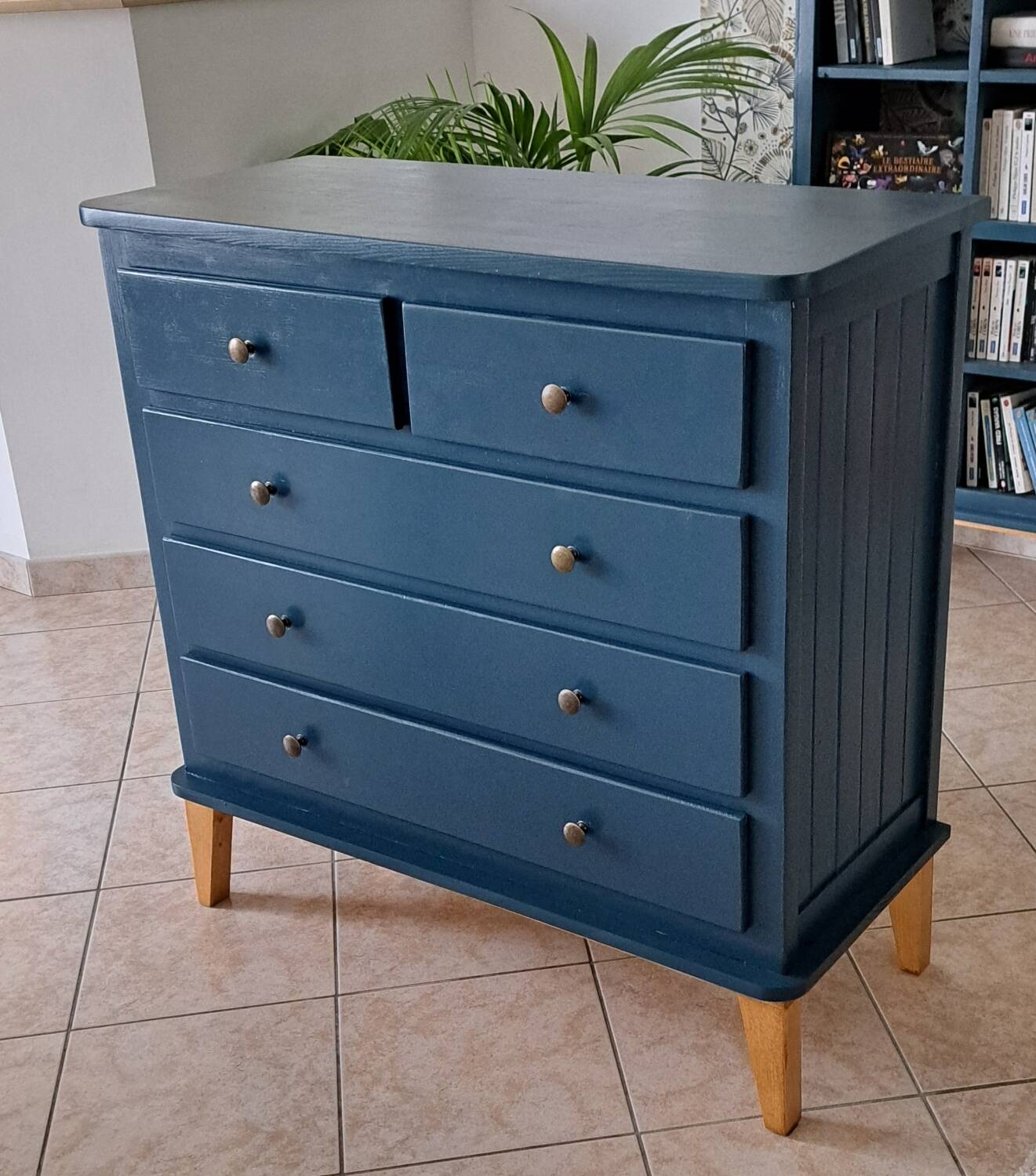 Rød Sødgren blue ganne chest of drawers