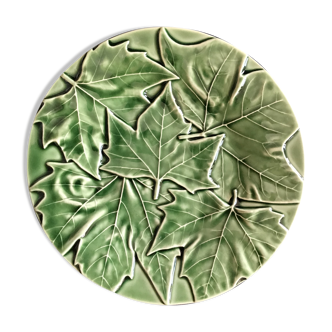 6 dessert plates