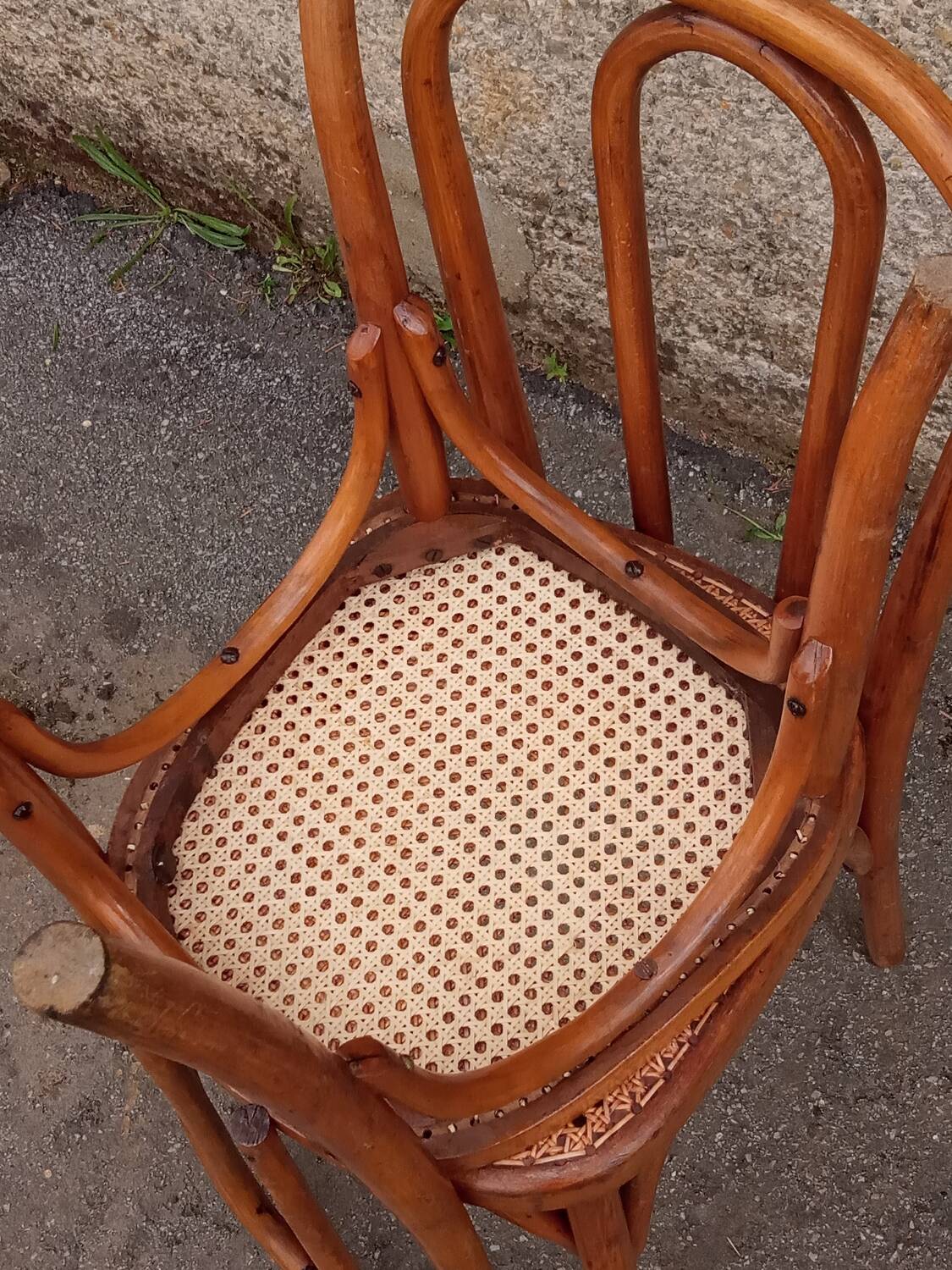 Pair of caned Fischel chairs, circa 1900