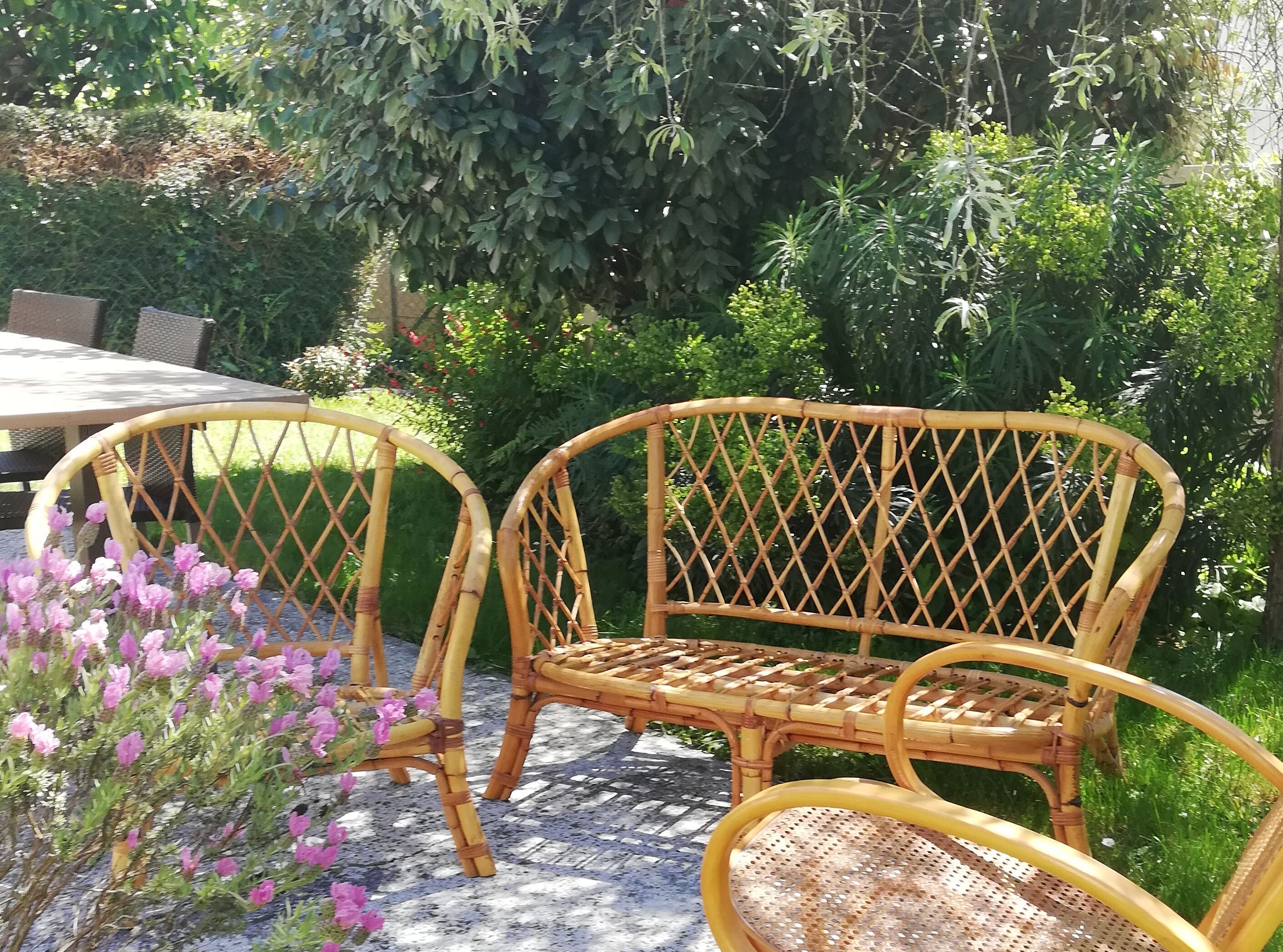 Rattan bench and chair