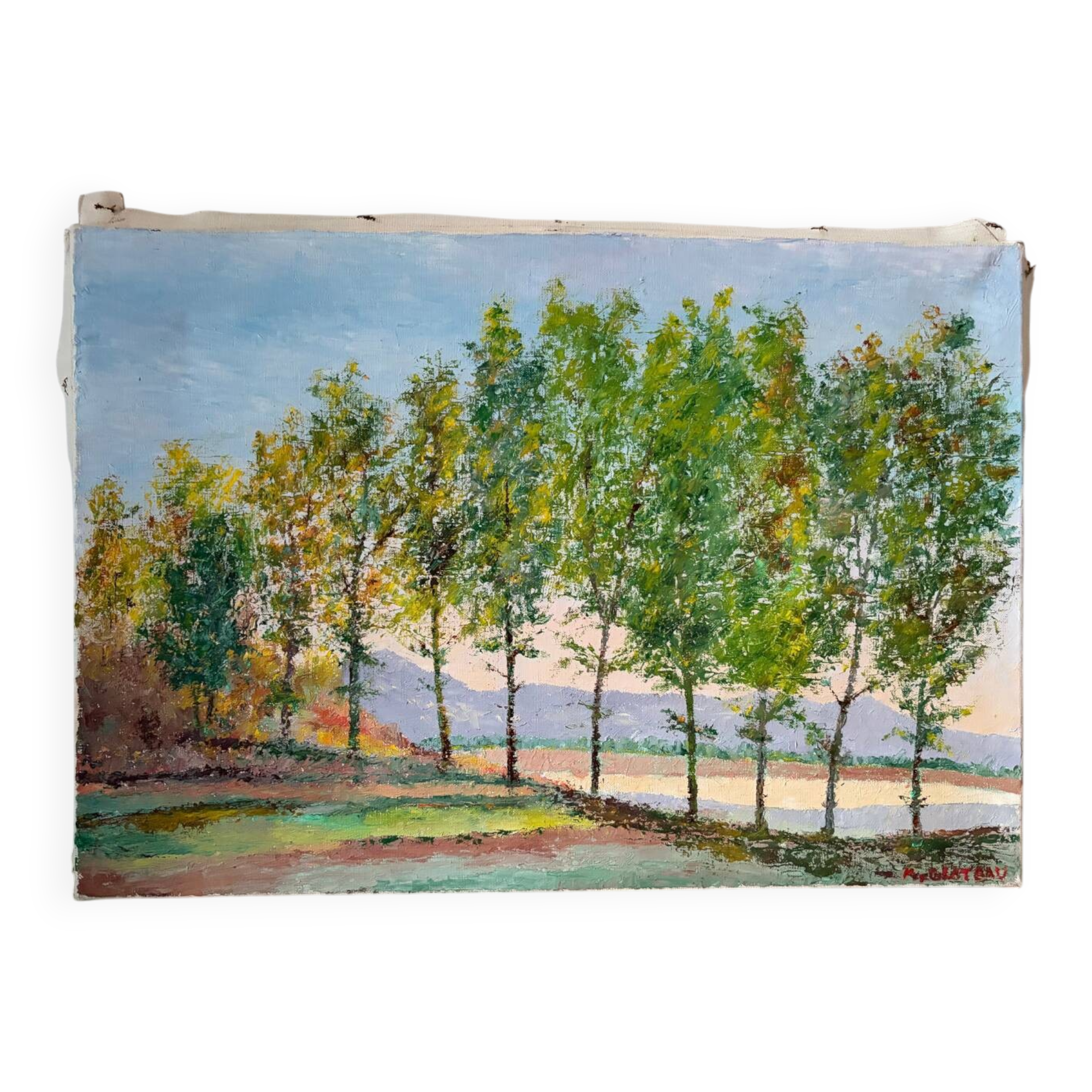 Wooded landscape, oil on canvas, signed