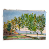 Wooded landscape, oil on canvas, signed