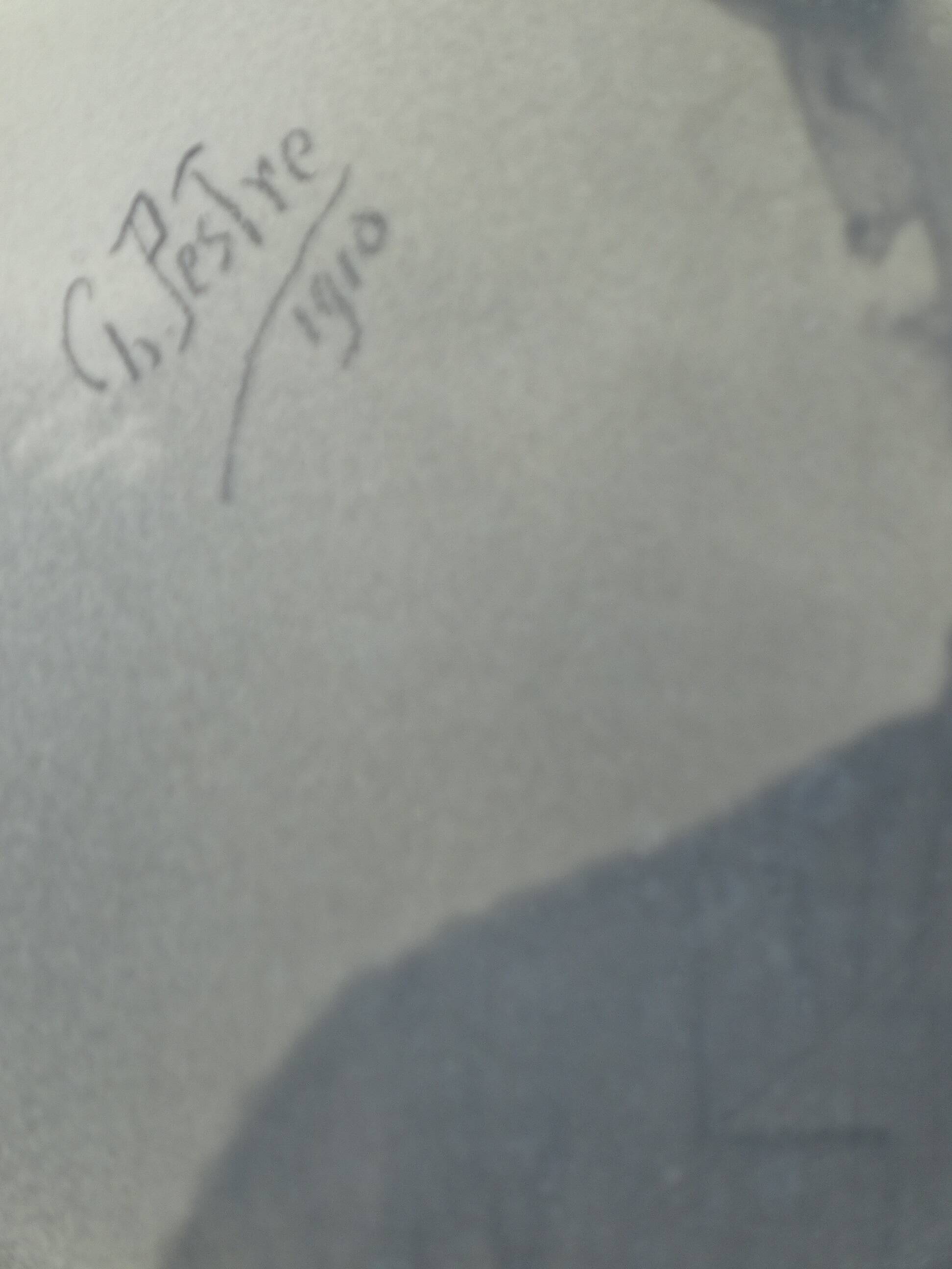 old photo portrait in golden frame (54x62 cm), 1910