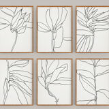 Set of 6 giclee prints. Botanical series