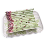Plat à asperges en barbotine