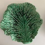 Cabbage leaf cup