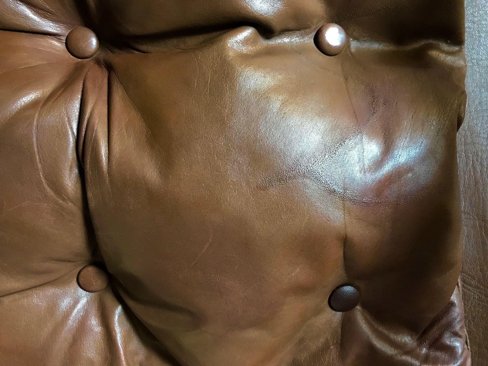 Model Sirocco leather safari chair by Arne Norell, 1960s