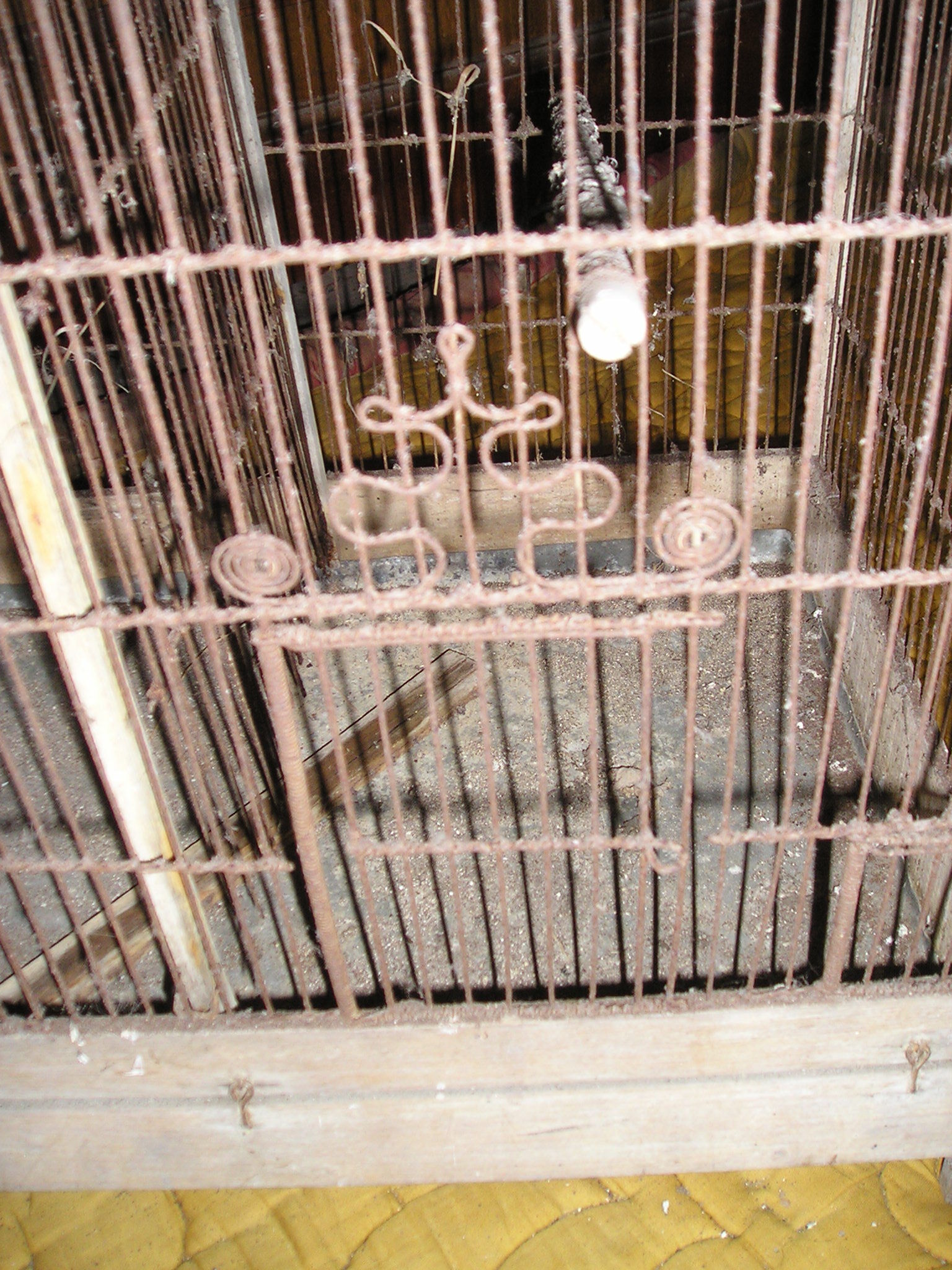 Old wooden bird cage