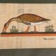 Tableau original égyptien représentant l'oie de Meidoum Egypte