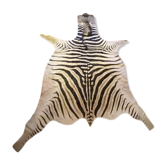 Real zebra skin