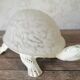 Turtle lamp